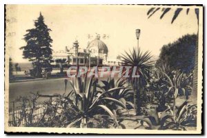 Postcard Old La Douce France French Riviera Nice Flora of Albert I Gardens an...