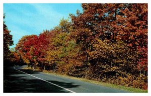 Postcard HIGHWAY SCENE State of Virginia VA AR4764