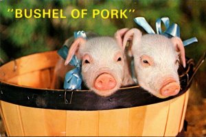 Pigs Bushel Of Pork All Dressed Up and No Place To Go