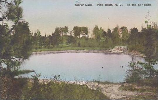 North Carolina Pine Bluff Silver Lake In The sandhills Albertype