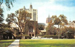 NEW HAVEN, Connecticut CT   STERLING LIBRARY~Yale University  STUDENTS  Postcard