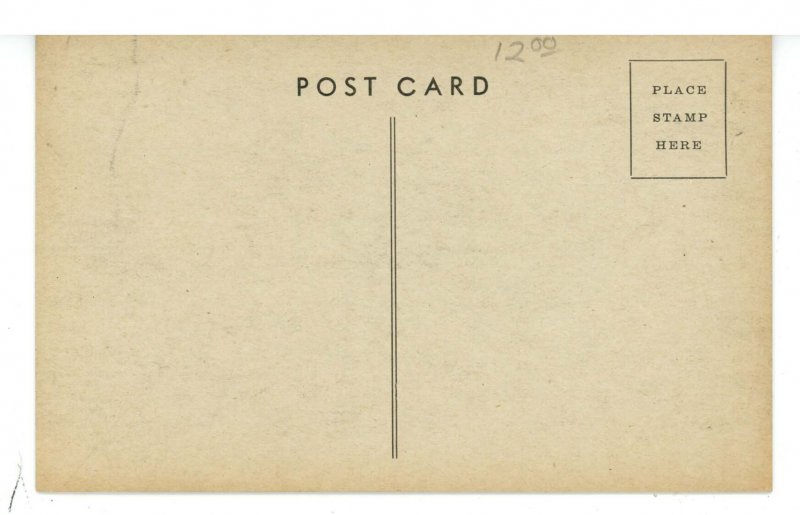 IL - Chicago. Riverview Amusement Park, The Bobs Roller Coaster ca 1909