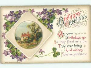 Divided-Back BEAUTIFUL FLOWERS SCENE Great Postcard AA2231