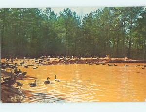 Pre-1980 WILD GOOSE REFUGE Ansonville - Near Wadesboro North Carolina NC hn2551