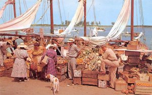 Native Water Front Market Nassau, Bahamas Virgin Islands Unused 