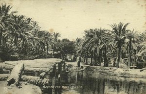 iraq, BASRA BASRAH ٱلْبَصْرَة, Across the Kora (1910s) Tuck Postcard