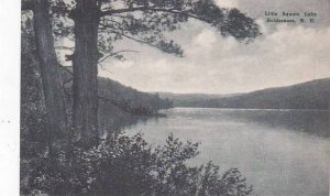 New Hampshire Holderness Little Squam Lake Albertype