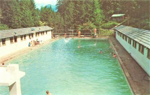 Port Angeles WA Olympic National Park Swimming Pool Postcard