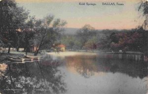 Kidd Springs Dallas Texas 1910c Albertype handcolored postcard