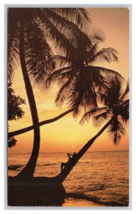 Postcard Tropical Sunsets Hawaii