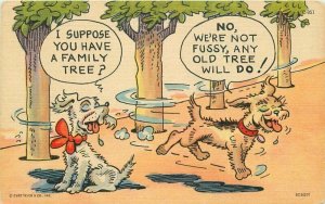 1940s Dog Pee Family Tree Comic Humor Teich C-851 Postcard 22-103