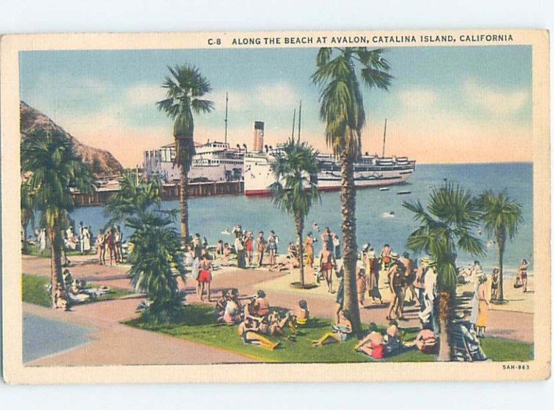 Linen BEACH SCENE Catalina Island - Los Angeles California CA AE9502