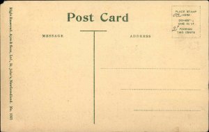 ST JOHN'S NEWFOUNDLAND Shadow Pool Bowring Park Vintage Postcard