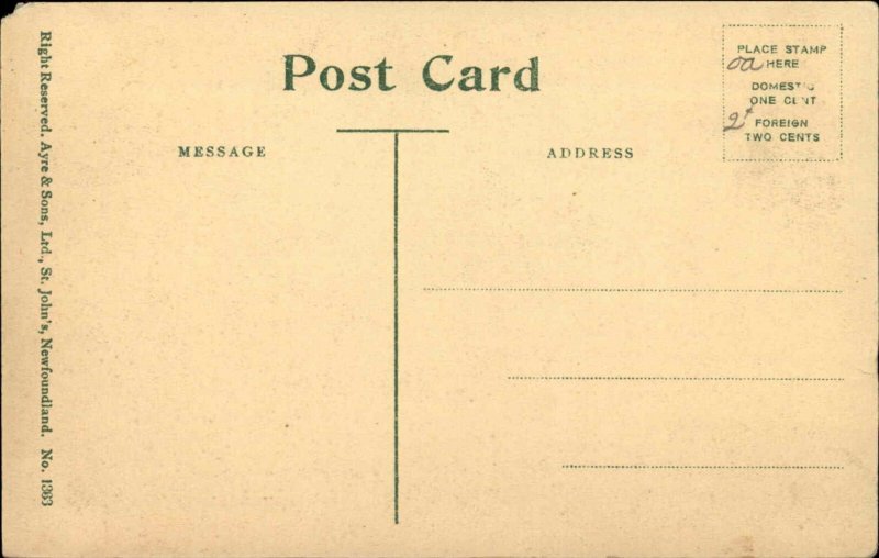 ST JOHN'S NEWFOUNDLAND Shadow Pool Bowring Park Vintage Postcard