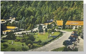 Wolfeboro, New Hampshire/NH Postcard, Allen A Camp/1951