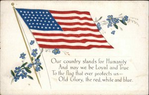 Old Glory American Flag Patriotic Poem c1910 Vintage Postcard