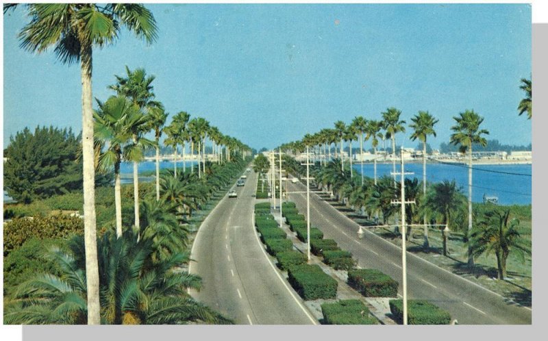 Nice Clearwater, Florida/FL Postcard, Memorial Causeway