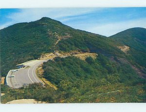 Pre-1980 NATURE SCENE Craggy Gardens - Near Asheville North Carolina NC AD2720