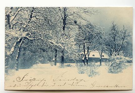 Snow, 1904, Bergzabern, Germany, Used 1904