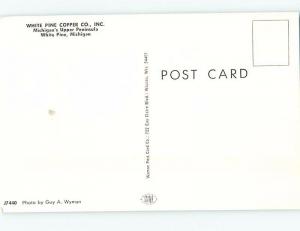 Unused Pre-1980 FACTORY SCENE White Pine Michigan MI c6569