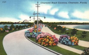 Vintage Postcard Clearwater Beach Causeway Flowers Streetlight Road Florida FL