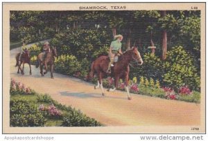 Texas Shamrock