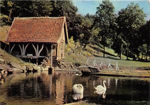 BR28534 grottes Historique de Naours swan cigne france