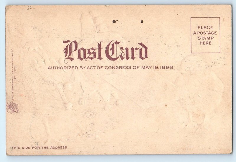 c1905 Easter Anthropomorphic Chick With Hat Clapsaddle Antique Posted Postcard