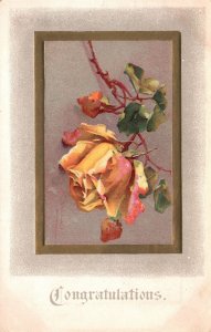 Vintage Postcard 1910's Congratulations Beautiful Yellow Rose Flowers Greetings