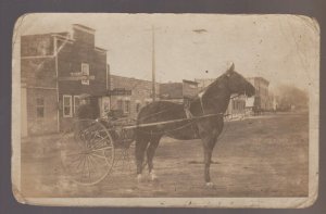 Warroad MINNESOTA RPPC 1910 HORSE RACING? Race Cart MAIN STREET Stores Harness?