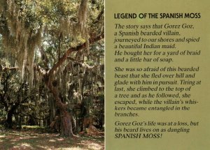 Legened of the Spanish Moss