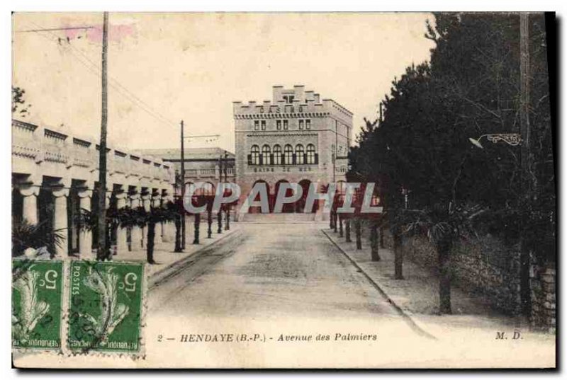 Old Postcard Hendaye Avenue des Palmiers