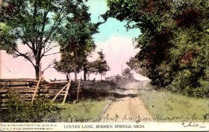 Michigan Berrien Springs Lovers Lane 1910 Curteich