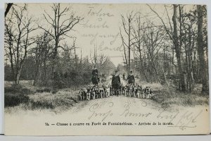 France Chasse a course en Foret de Fontainbleau Arrivee de la meute Postcard L14