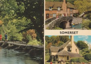 SOMERSET - Vintage POSTCARD