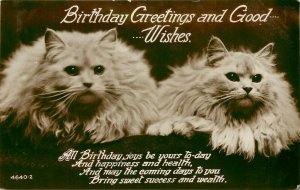 Windsor Ser. RPPC Cat Postcard 4640 White Turkish Angora Cats Birthday Greetings