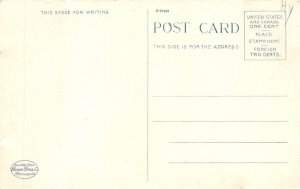 Yellowstone Lake Ferry & Paddle Boats Ship Unused 