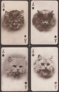 Tucks Ace Of Hearts Diamonds Spades Clubs Cat 4x Playing Card Postcard s