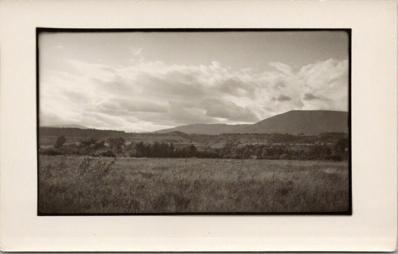 Rural Landscape Meadow Unknown Location B&W UNUSED Real Photo Postcard D99