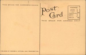 Santa Rosa CA NW Pacific RR Train Station Depot c1910 Postcard