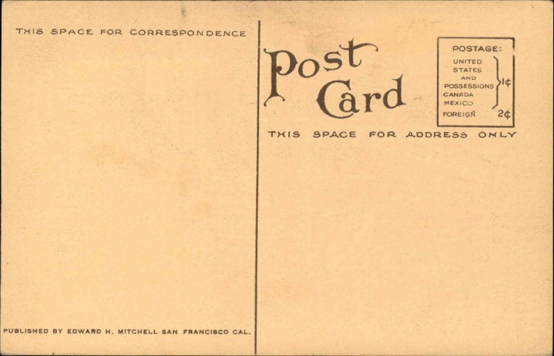 Santa Rosa CA NW Pacific RR Train Station Depot c1910 Postcard