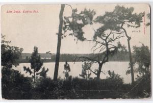 Lake Dicie, Eustis Fl