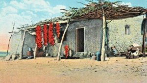 c.1910 Postcard Chili Pepper Drying Tribal Adobe Home New Mexico