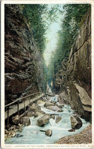postcard Looking up the Flume, Franconia Notch, New Hampshire