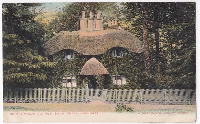 Lyndhurst, New Forest; Northerwood Cottage PPC, Local 1905 PMK By W Harris 