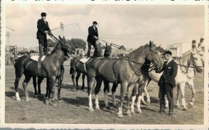 Horsesports Real Photo Concours Horses 04.00