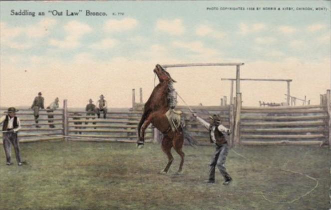 Cowboy With Horse Saddling An Outlaw Bronco