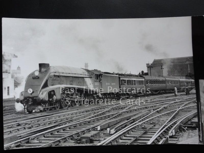 British Railway - Steam Loco SEAGULL No.60033 RP Photocard 140515