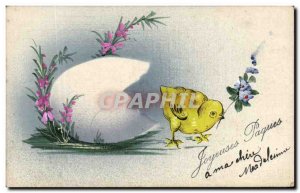 Old Postcard Fancy Easter Egg Chick