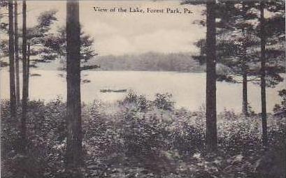 Pennsylvania Forest Park View of The Lake Artvue